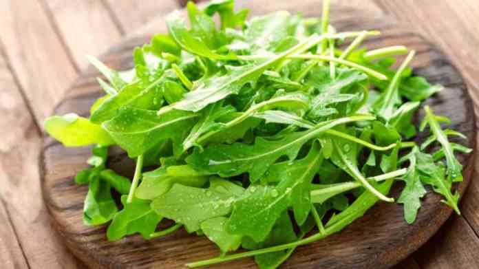 rucola