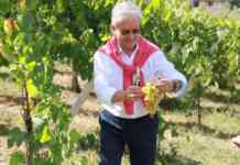 Panza: “Ecoturismo, il Sannio si candida a diventare una capitale verde europea”