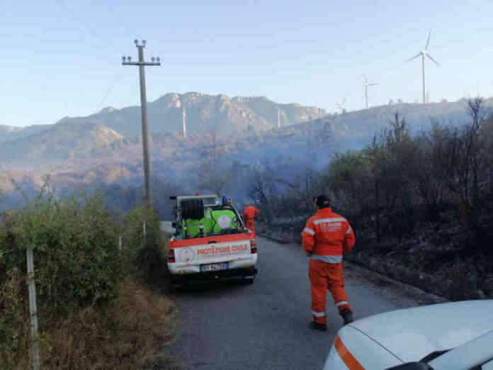 WhatsApp Image 2020-09-03 at 19.37.33 copia