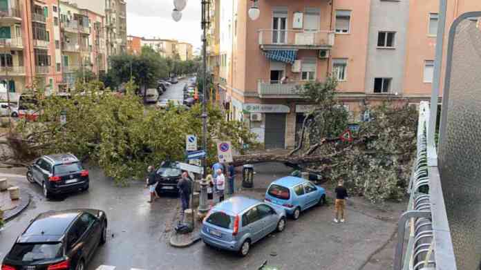 WhatsApp Image 2020-09-25 at 09.24.01