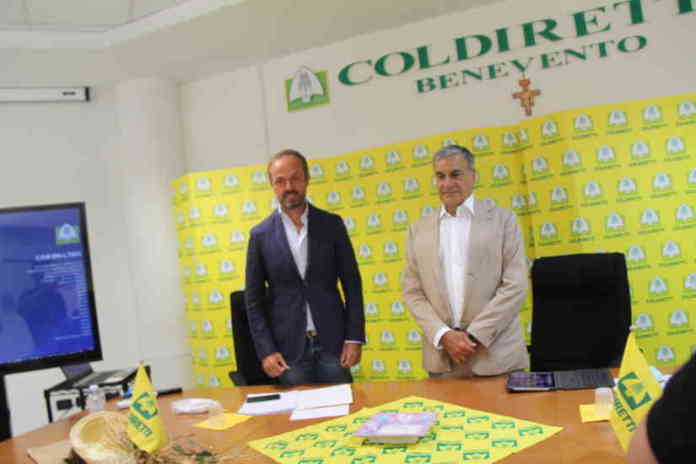 coldiretti rummo (1)