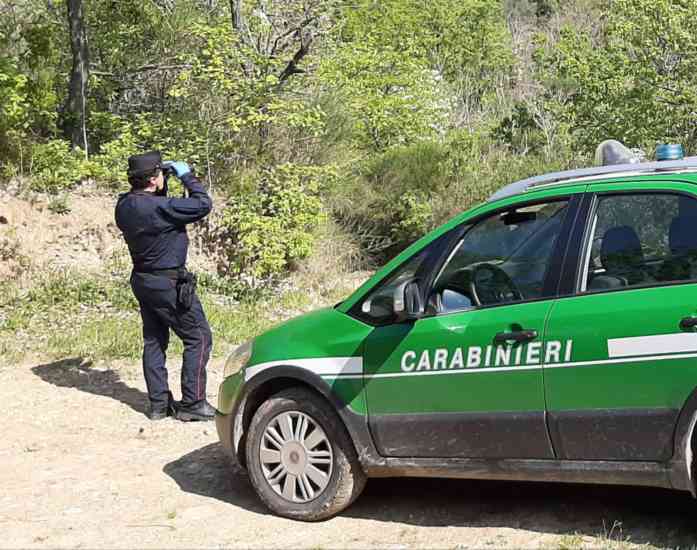 forestali benevento