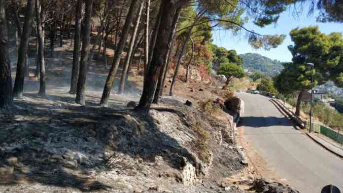 incendio bellaria3