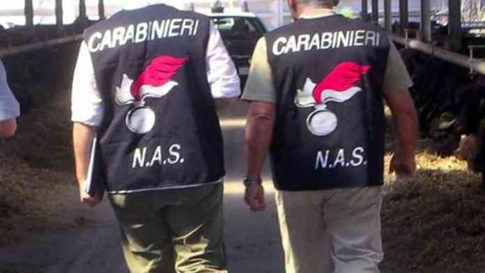 nas.carabinieri-4