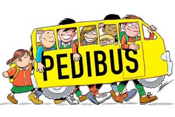 pedibus