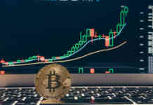 Le criptovalute saranno la moneta di scambio del futuro?