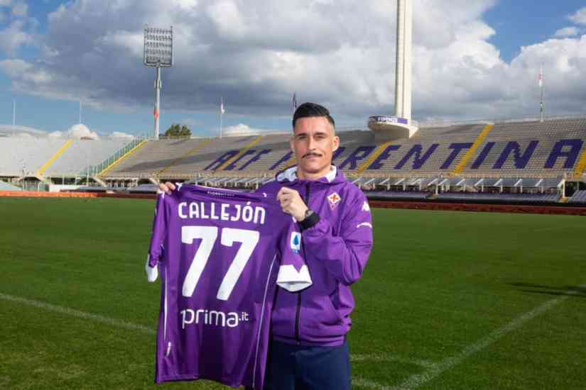 Viola 1