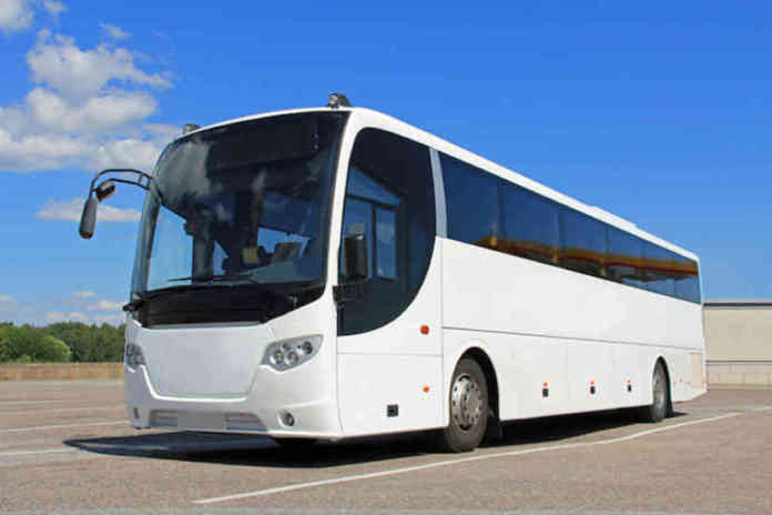 White Bus in Summer