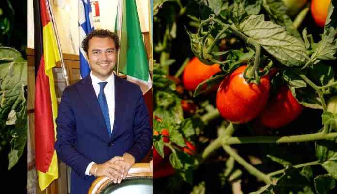 presa diretta buccino