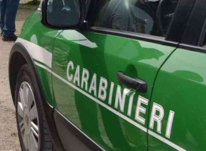 carabinieri forestale