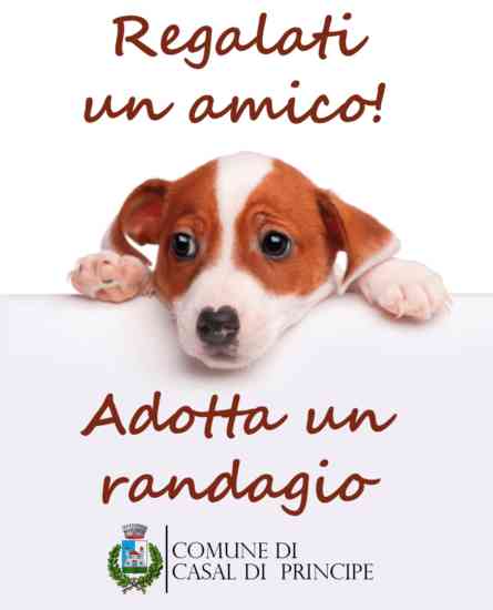 Logo iniziativa cani del Comune di Casal di Principe