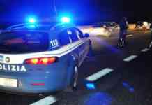Prova a evitare una volpe e finisce contro il guardrail, paura per una donna