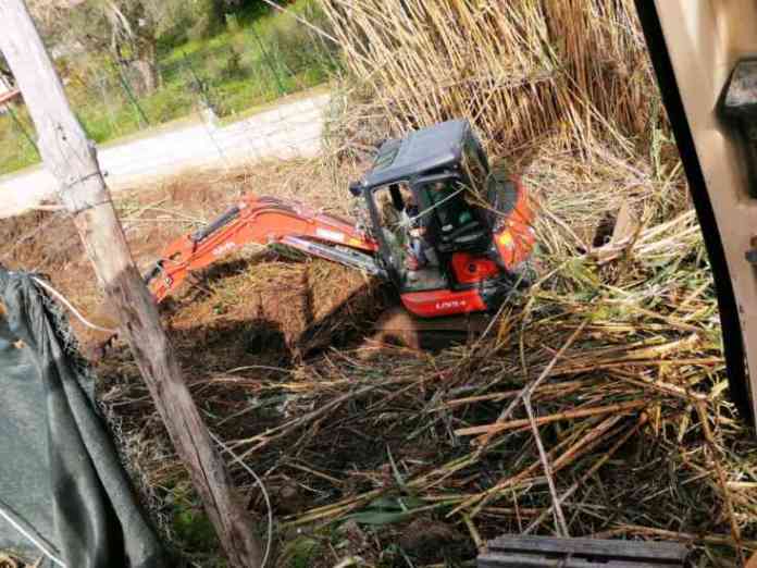 Pulizia valloni Castellabate_2020