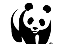 È Francesco Marino il nuovo presidente del WWF Napoli: “Per me un grande onore”