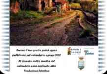 “Calendario Apicese 2021”, più di 100 foto al contest del Forum dei Giovani: il ricavato a Telethon