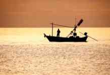 Cilento, Pd per la tutela dei pescatori ‘alici di menaica’