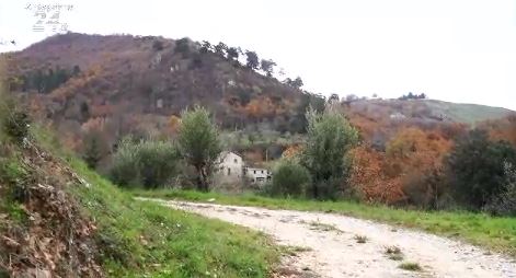 azienda padula