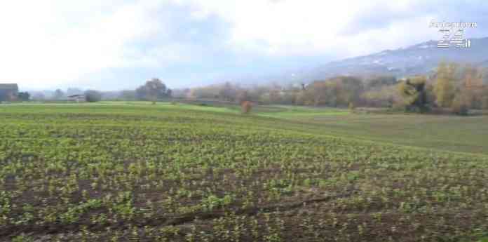 psr immagine