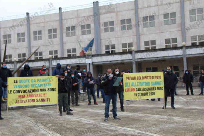 ALLEVATORI SANNITI PROTESTA (3)