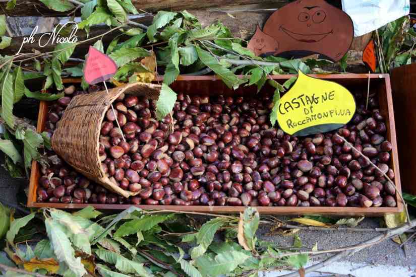 CASTAGNE DI ROCCAMONFINA 2