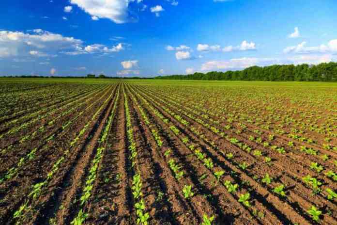 agricoltura-biologica-italia-primato-europeo-1024x683