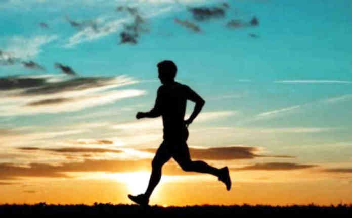 articolo ant24