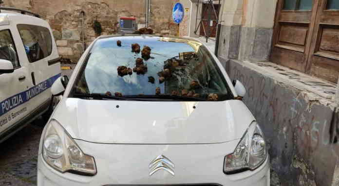 auto erchemperto