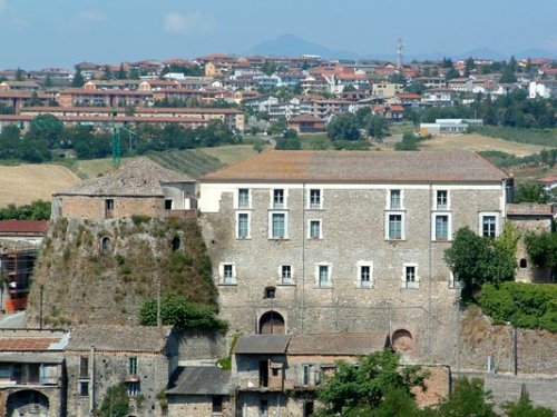 apice