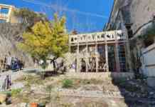 Montevergine Park, l’antica salita diventa corridoio per la biodiversità