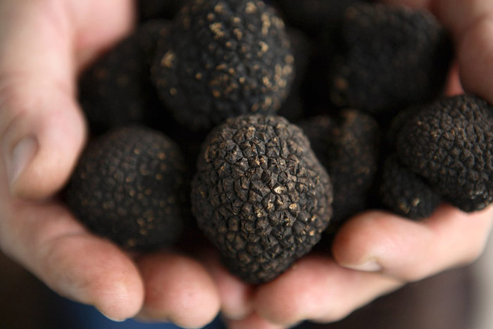 tartufo-nero-1
