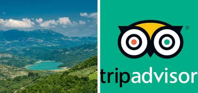 trip advisor