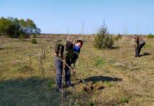 In Albania un giardino in memoria del sindaco pescatore, Dario Vassallo: “La legalità nel nome di Angelo”