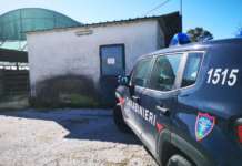 Liquami delle bufale scaricati sul terreno, sigilli ad allevamento nel Casertano