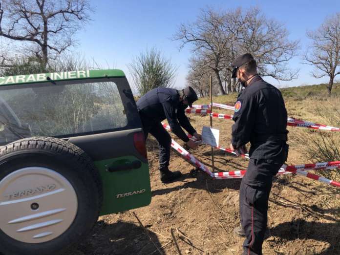 Carabinieri forestali scoprono disboscamento abusivo su Monte Tifata