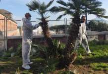 Napoli, nuova vita per i giardini di Cesario Console: adottati dalla “Megaride Felice”