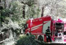 Dopo la manutenzione, i tritoni dell’Oasi Wwf tornano “a casa” (VIDEO)