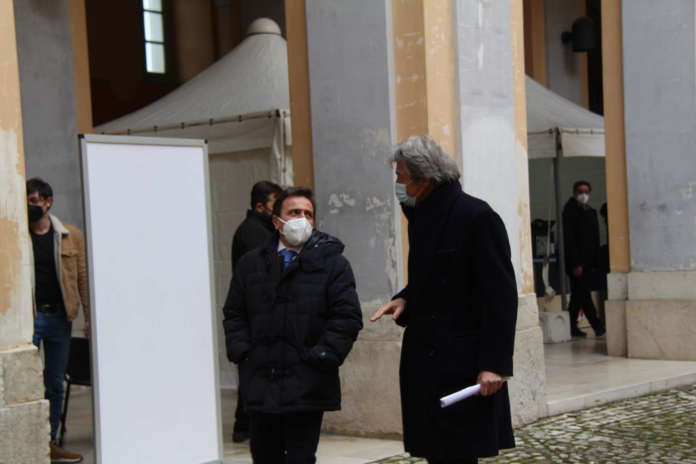 volpe casucci