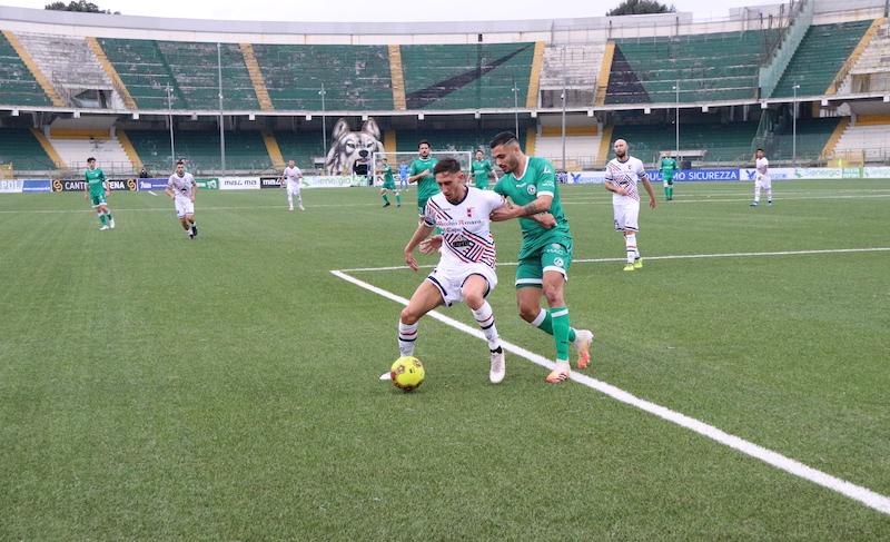 Avellino-Viboneese Avellino-Viboneese