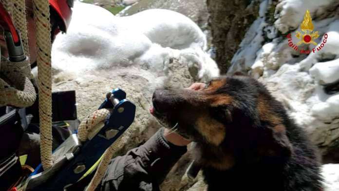 vigili del fuoco3