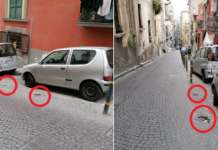 Sfasciano paletti comunali per un parcheggio: delirio ai Quartieri Spagnoli
