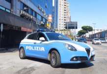 Blitz nella Terra dei Fuochi: ritrovamento di auto rubate e multe