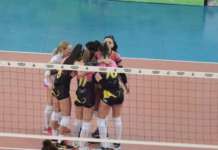 Volley B2, l’Olimpia vince il derby e vola in finale
