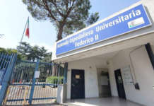 Napoli, spaccio di droga tra i viali dell’ospedale: arrestato