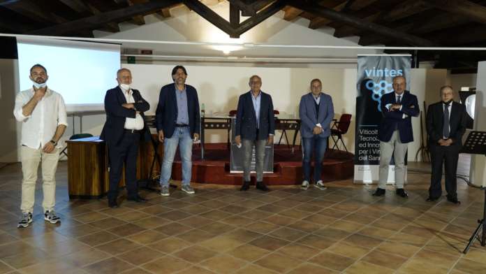 vintes solopaca