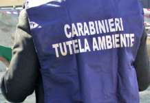 Inquinamento ambientale, gestione illecita rifiuti e depuratori: misure interdittive per due dipendenti Gesesa