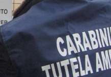 Scarichi abusivi, sequestrata un’azienda nel Napoletano