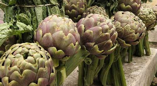 carciofi