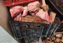 Pagani, i forestali sequestrano 500 kg di carne in un locale commerciale
