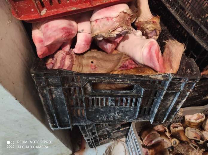 carne