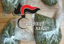 Beccato in auto con 100 grammi di marijuana, 25enne arrestato a Napoli